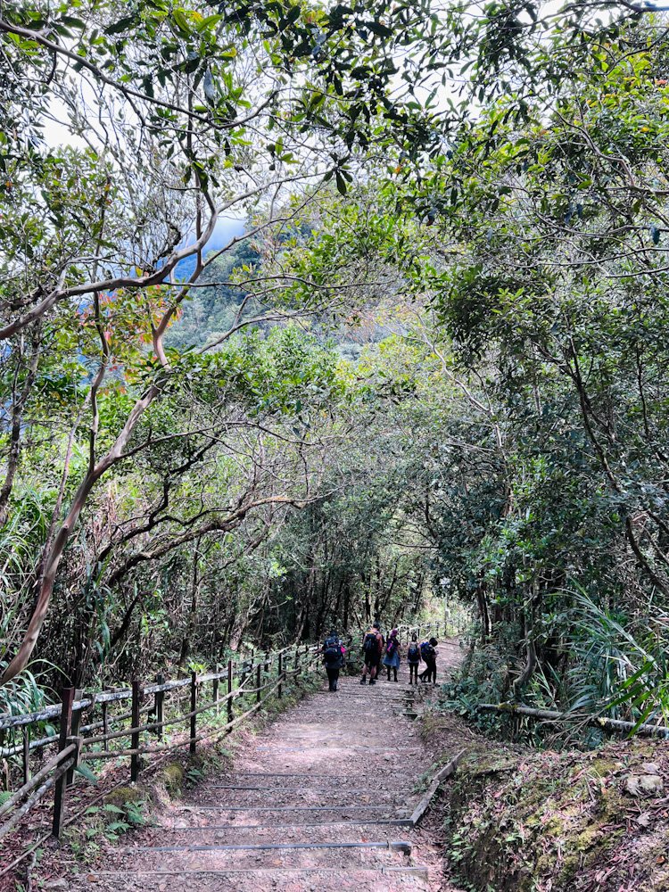 Steps descending into tropical rainforest at the start of Mount Kinabalu trail, Timpohon Gate, Sabah Borneo. © SlowingwithT.com
