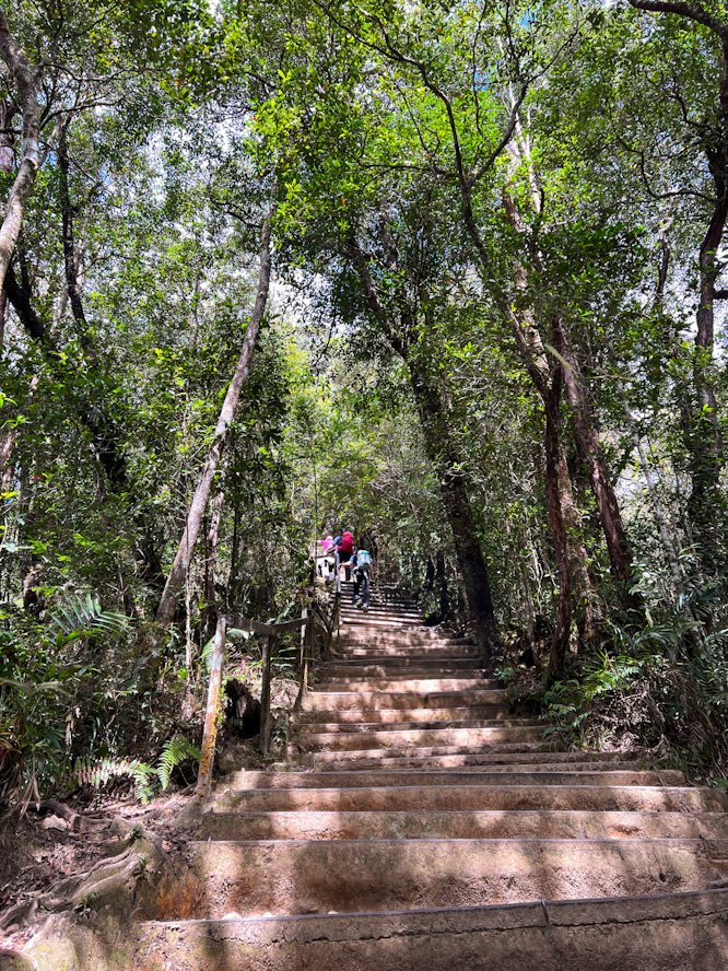 Mount Kinabalu trail 0–1km section with continuous stone steps ascending toward Pondok Kandis in Kinabalu Park Sabah Malaysia. © SlowingwithT.com