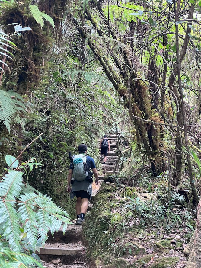 Traversing the quiet forest on Mount Kinabalu Trail. © SlowingwithT.com
