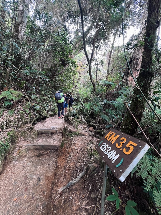 Reaching 3.5km mark on Mount Kinabalu Trail through tropical forest. © SlowingwithT.com