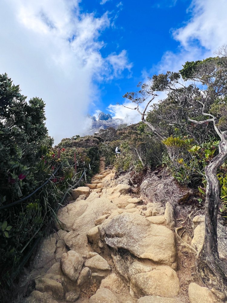Stone steps ascending through subalpine shrubland on Mount Kinabalu trail with dramatic granite peaks visible above, Sabah Borneo. © SlowingwithT.com